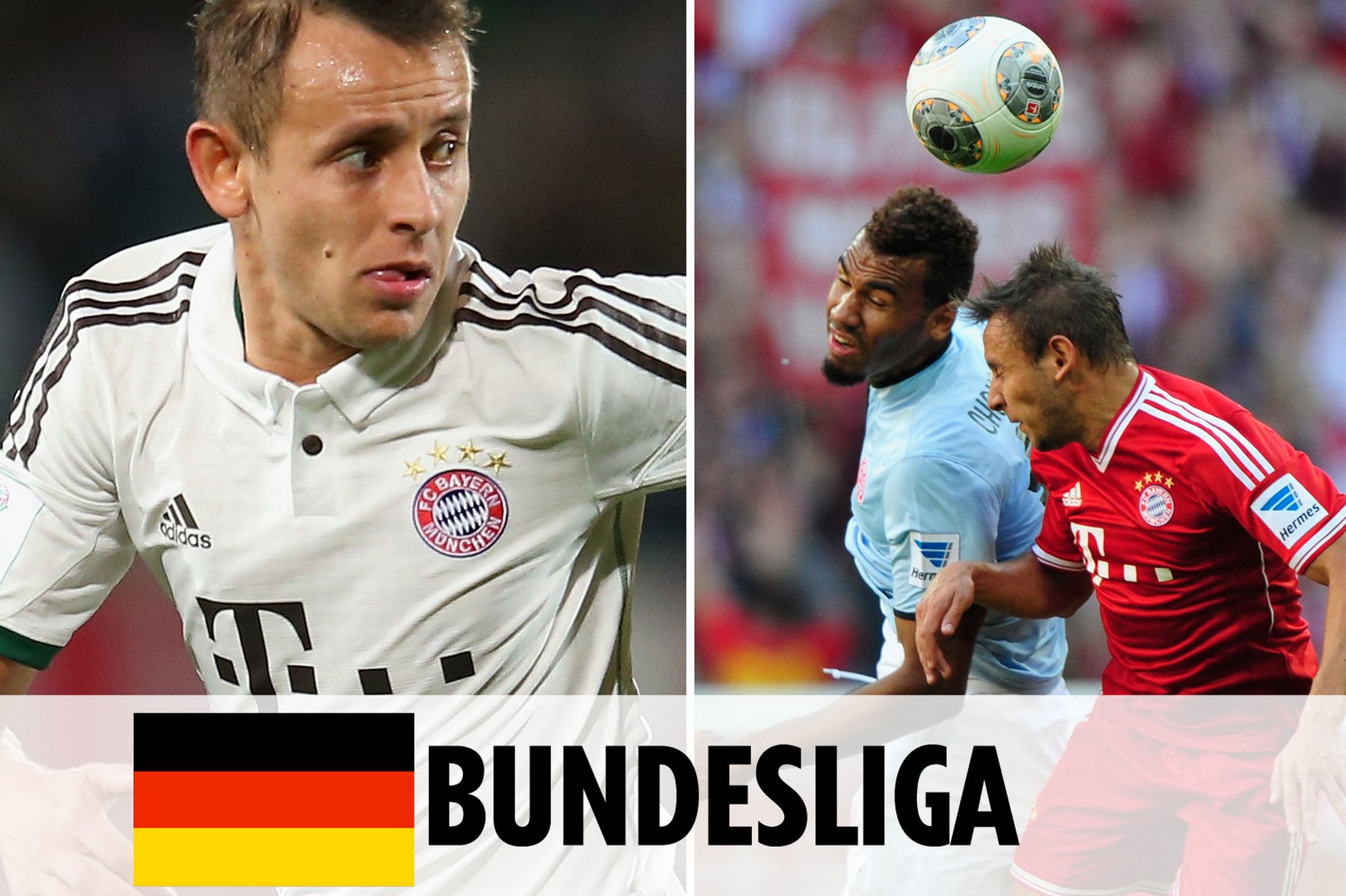 义不仅需要 义不仅需要