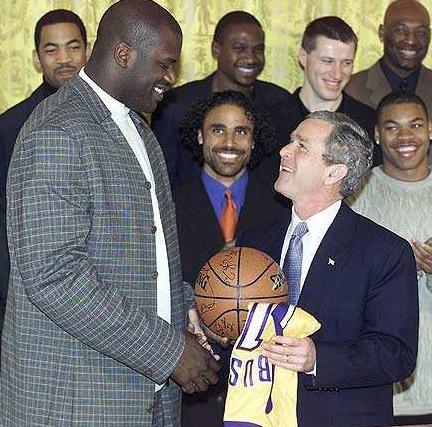 二阵容火力 二阵容火力