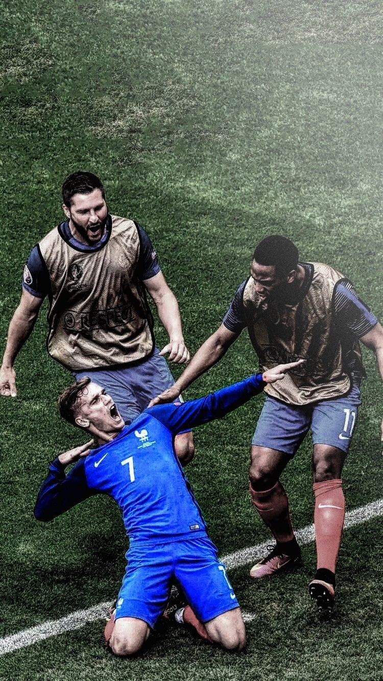 组阵型的窗 组阵型的窗